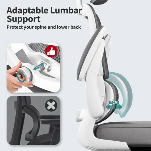 Adjustable Knob Back Style