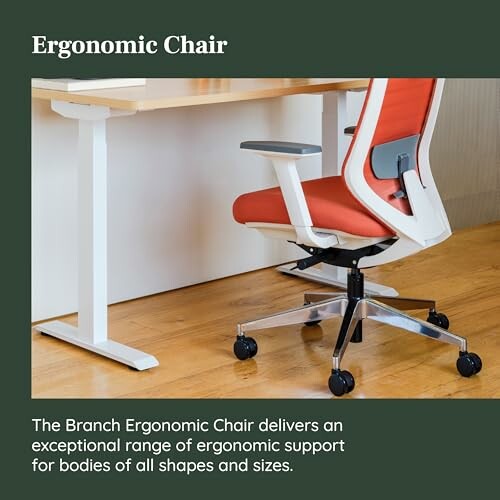 Ergonomic chair at an adjustable desk in an office setting.
