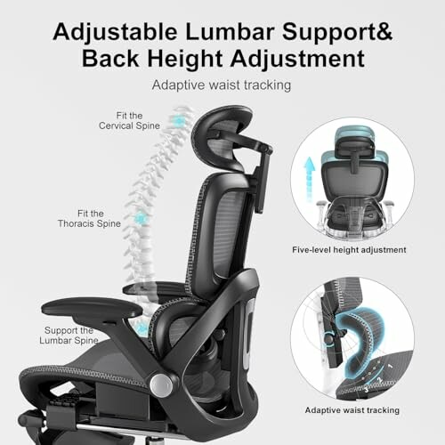 Ergonomic office chair with adjustable lumbar support and back height.