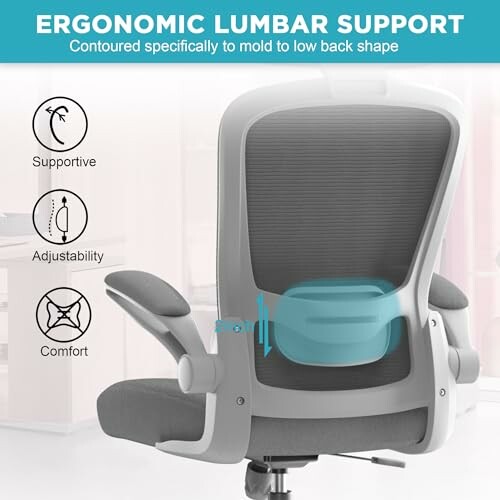 Ergonomic office chair with lumbar support highlighted