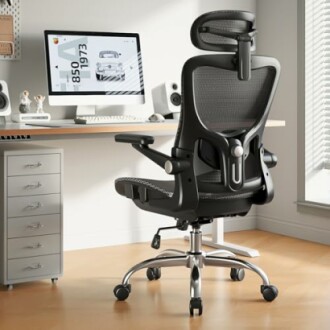 Oaring Ergonomic Office Chair