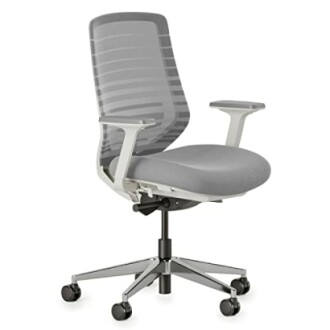 Branch Ergonomic Chair