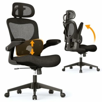 SUNNOW Ergonomic Office Chair