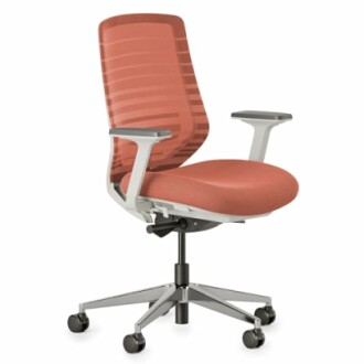 Branch Ergonomic Chair